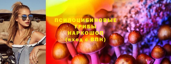 герыч Арсеньев