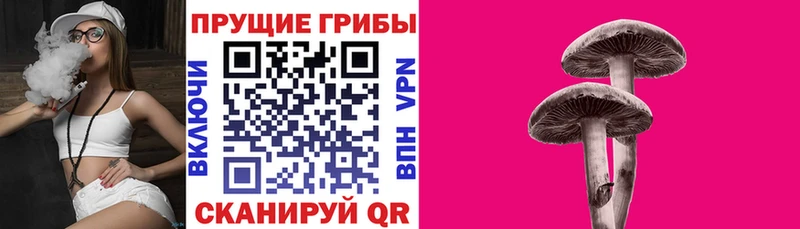 Псилоцибиновые грибы GOLDEN TEACHER купить наркоту Серов
